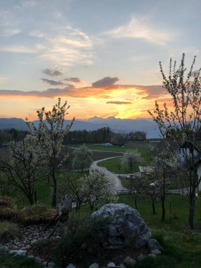 Apartma Romana Spodnji Otok المظهر الخارجي الصورة